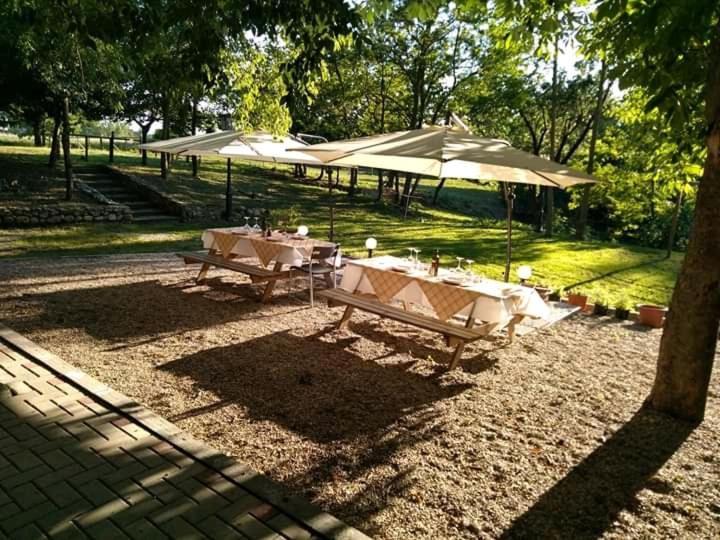 Agriturismo Molino Nuovo كاستيل سان بييترو تي المظهر الخارجي الصورة